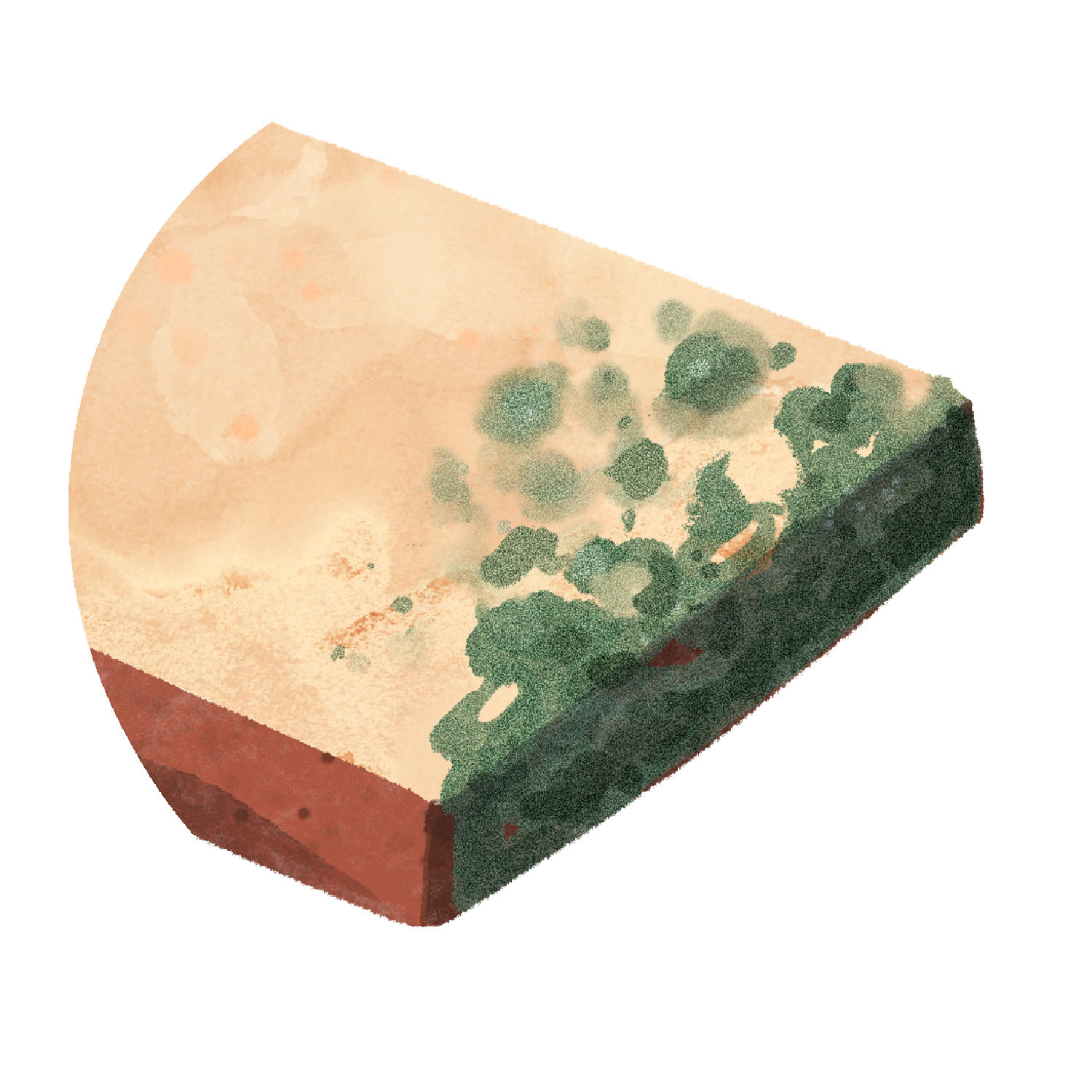 bread
