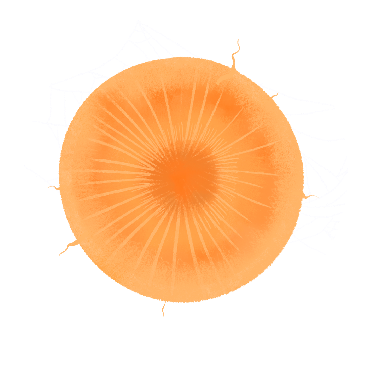 carrot