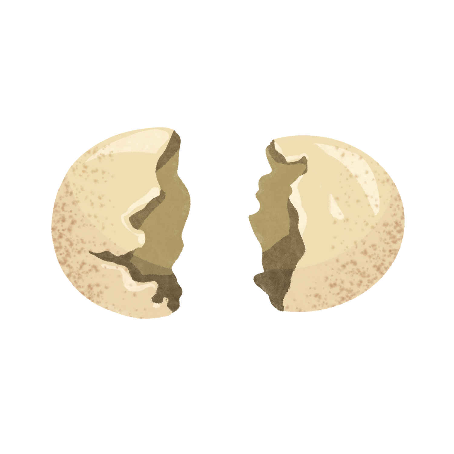 egg