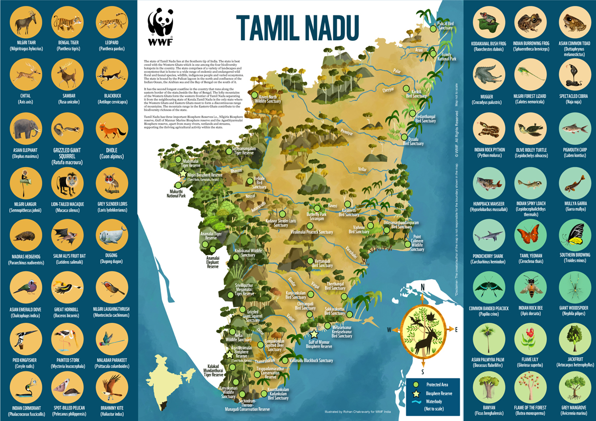 Tamil Nadu | One Planet Academy